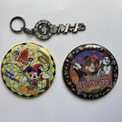 ディズニーランド　缶バッジ・キーホルダー
