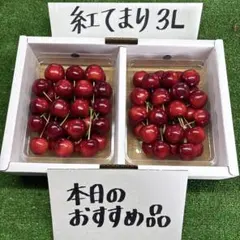 紅てまり 3Lサイズ 1.1kg以上入り特秀◎贈答品にも - メルカリ