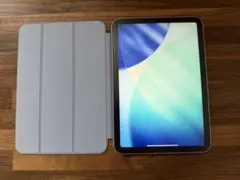 【美品】iPad mini 第7世代 Wi-Fi+Cellular 256GB