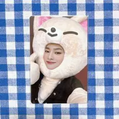 Stray Kids アイエン MAXIDENT トレカ SKZOO