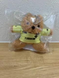 ツエーゲン金沢 ユニフォームベア 23番