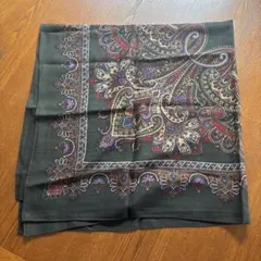 ETRO エトロ ペイズリー柄 ストール ウールシルク - メルカリ