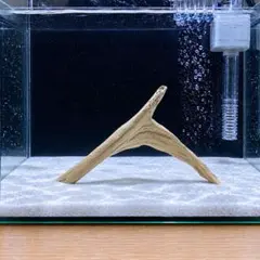水槽用流木　No_112のサムネイル