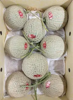 高知県産 赤肉メロン 6玉入り 約7.6kg（下箱込み） - メルカリ