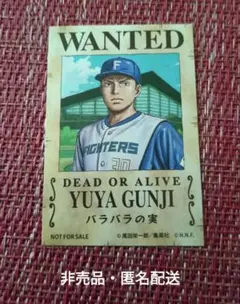 ファイターズ　ONE PIECE 手配書　ステッカー　郡司選手　日ハム