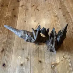 オブジェ　木　流木　天然木