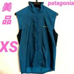 00s Patagonia パタゴニア ベロシティベスト ナイロンベストMブルー