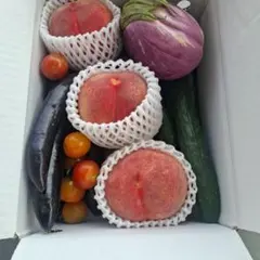 旬の果物と野菜の詰め合わせセットのサムネイル
