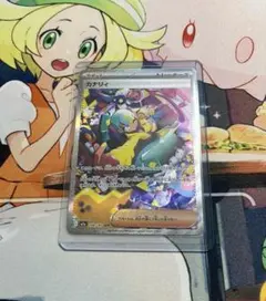 カナリィ SAR 248/193