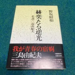 燦変たる逆光 野坂昭如 文藝春秋