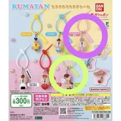 KUMATAN カラフルマルチチャーム