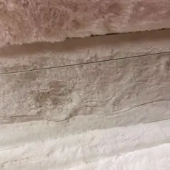 Item thumbnail for item ee6c87b9-dab7-4b6e-ad0b-4ca8f0d3b7df