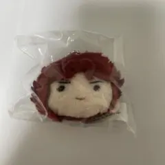 2025年最新】花京院典明 ぬいぐるみの人気アイテム - メルカリ