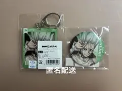 Dr.STONE レイニーデイ 石神千空 アクリルキーホルダー 缶バッジ