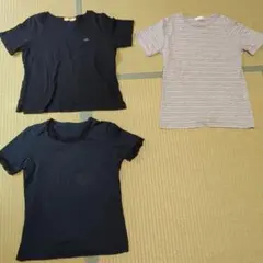 CROCODILE クロコダイル　ゴールデンベアーなど　半袖　Tシャツ M