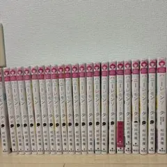 皆川ゆか　ティー・パーティー　シリーズ　18冊 皆川ゆか ティー・パーティー シリーズ 18冊 - メルカリ