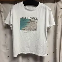 フォトプリント 半袖 Tシャツ ホワイト