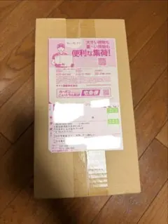 ポケモンカードスカーレット&バイオレットスペシャルBOXポケモンセンターヒロシマ