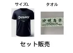 未使用】2025甲子園 / 沖縄尚学 / 記念Tシャツ / 3L - メルカリ
