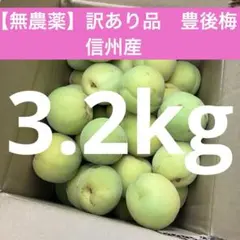 2026年最新】長野県あんずの人気アイテム - メルカリ