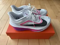 Item thumbnail for item 500e7a6f-d124-4a22-b355-cdee3891f271