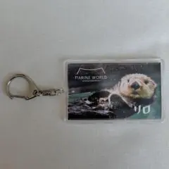 海の中道マリンワールド　ラッコのリロ　コビレゴンドウのユキ　アクリルキーホルダー