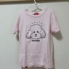Tシャツのサムネイル