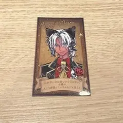 あくねこ　ナンジャタウン　ミヤジ