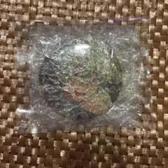 2026年最新】巴日和 缶バッジ フィーチャーの人気アイテム - メルカリ