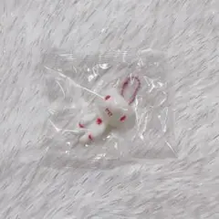 いたずらぐまのグルーミー