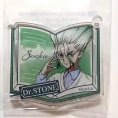 Dr.STONE　ドクターストーン　石神千空　アクリルキーホルダー　読書の秋