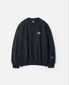 ssstein HIGH GAUGE COTTON SWEAT LSのサムネイル