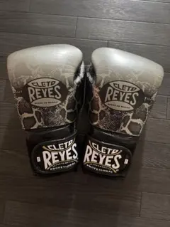 REYES レイジェス グローブ【Steel Snake 14