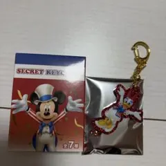 心斎橋パルコ　ディズニーストア　シークレットキーチェーン