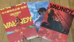 VAUNDY フライヤー　3枚