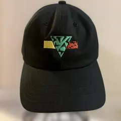 STILLAS "WILLD"DAD CAP