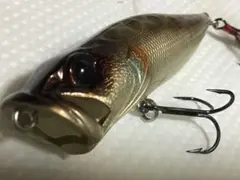 Item thumbnail for item fb1fe083-6d6e-442c-b048-0b7fac6163ef