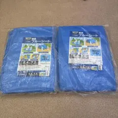 Item thumbnail for item e6d0a2ae-fae8-4b9a-8918-66ba738638ca