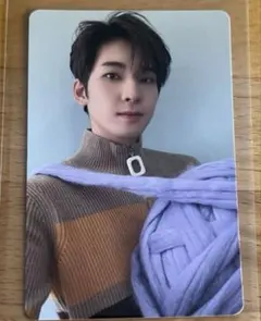 匿名配送 SEVENTEEN ウォヌ　あいのちから　carat盤