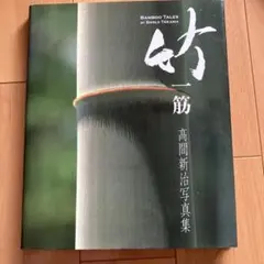 ピンボールグラフィティ 初版本 稀少本 村上春樹 すぎやまこういち