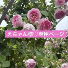 2026年最新】メナードエンベリエの人気アイテム - メルカリ