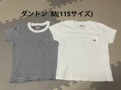 DANTON Tシャツ 2枚セット