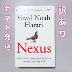 訳ありNexus英語A Brief History of Information