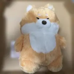 ムクムクむっくん しばお ぬいぐるみ ちょっぴり人見知り 柴犬のサムネイル