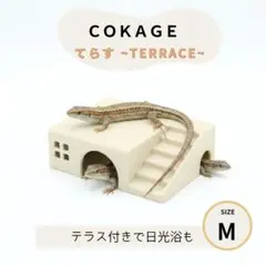 Pino様 ウェット予定【爬虫類シェルター てらす L】 黒色 Pino様 ウェット【COKAGE爬虫類シェルター てらす L】 黒色 - メルカリ