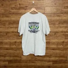 Hanes ヘインズ Tシャツ バックプリント マウイ 2016 古着のサムネイル