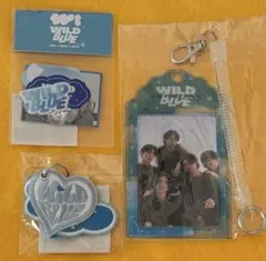 2026年最新】WiLD blue グッズの人気アイテム - メルカリ