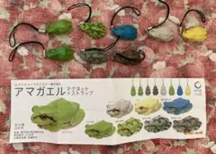 ネイチャーテクニカラー アマガエル マグネット ストラップ 8種セット