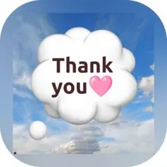 感謝特別価格　ちっち様専用