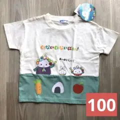 新品　いないいないばあ　Tシャツ ぽうぽ　Eテレ　半袖　わんわん　100